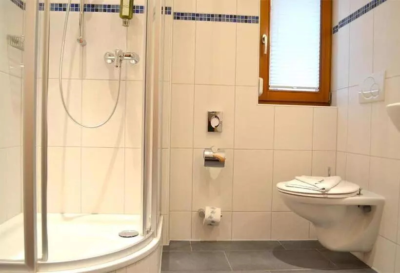Standard Yhden Hengen Huone, Aqualon Hotel Schweizerblick Therme, Sauna & Wellness