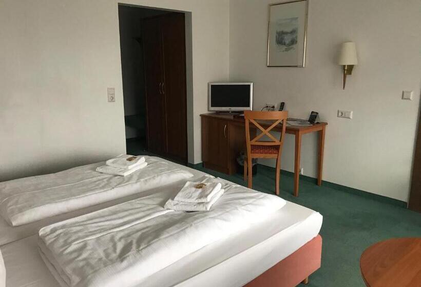 Номер Стандарт, Aqualon Hotel Schweizerblick   Therme, Sauna & Wellness