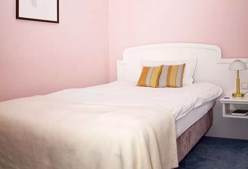 اتاق استاندارد یک نفره, Arthotel Ana Fleur