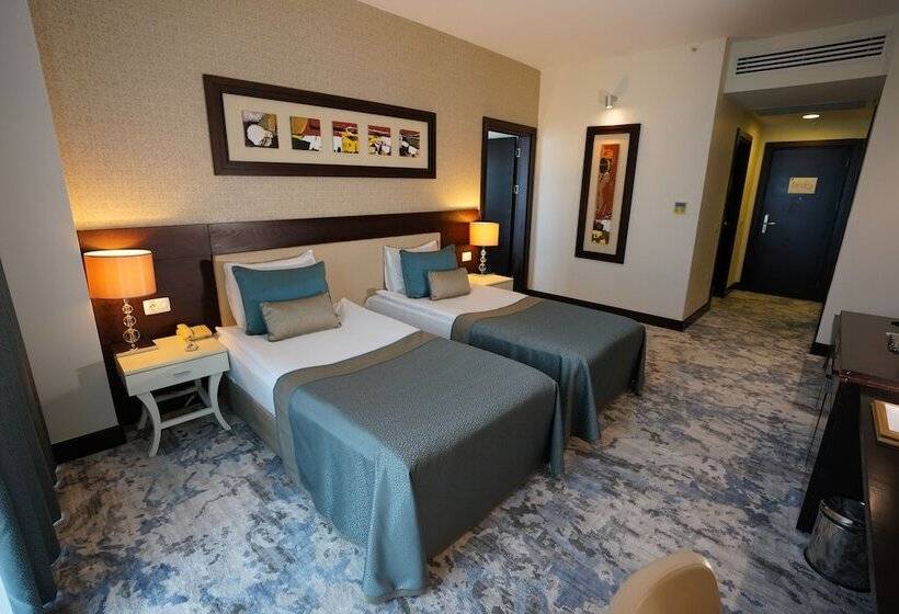 اتاق خانوادگی, Baia Bursa