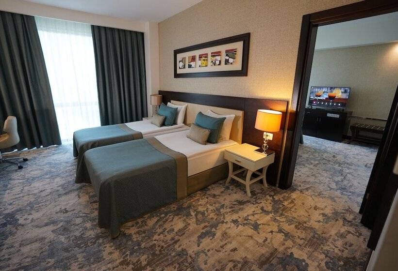 اتاق خانوادگی, Baia Bursa