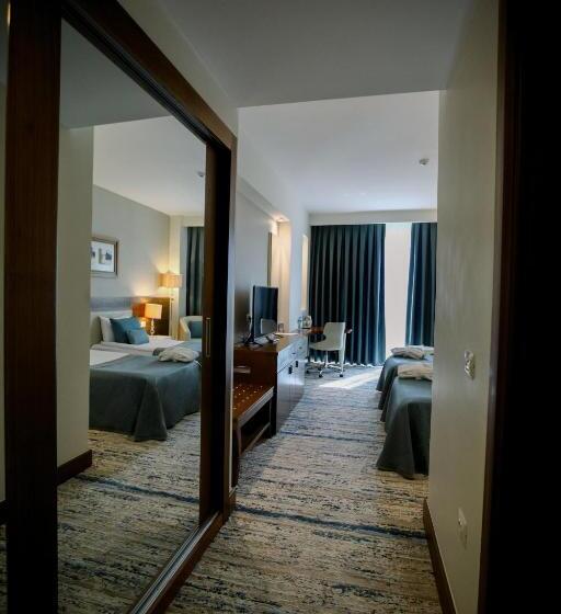 اتاق استاندارد, Baia Bursa