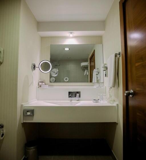 اتاق استاندارد, Baia Bursa