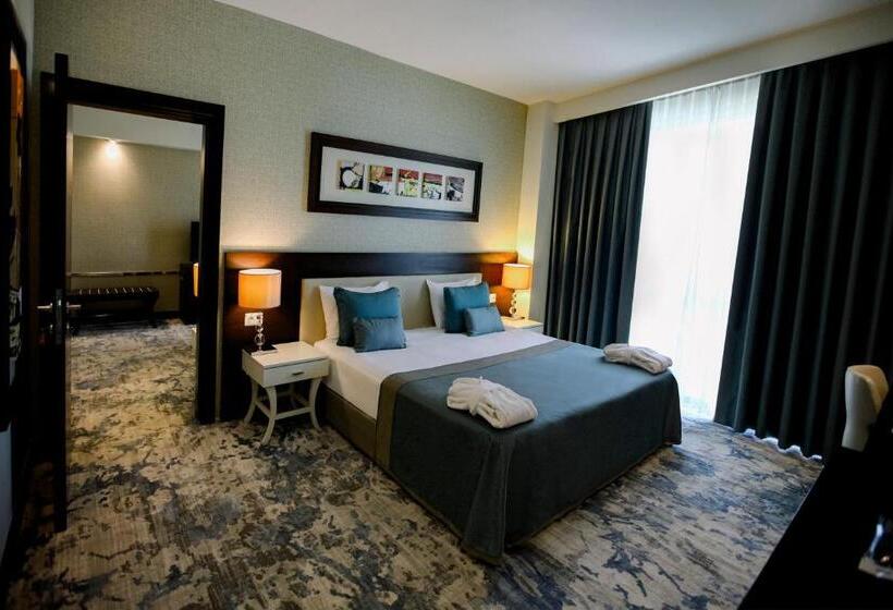 اتاق خانوادگی, Baia Bursa