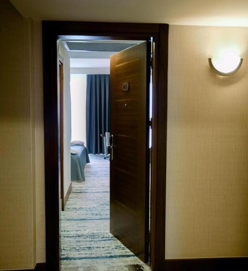 اتاق استاندارد, Baia Bursa