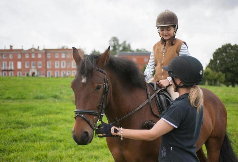 غرفة قياسية سرير كينج لذوى الإحتياجات الخاصة, Four Seasons Hotel Hampshire