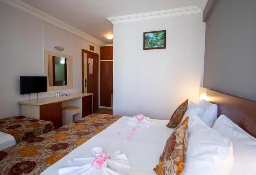 اتاق استاندارد سه نفره, Lara Dinc