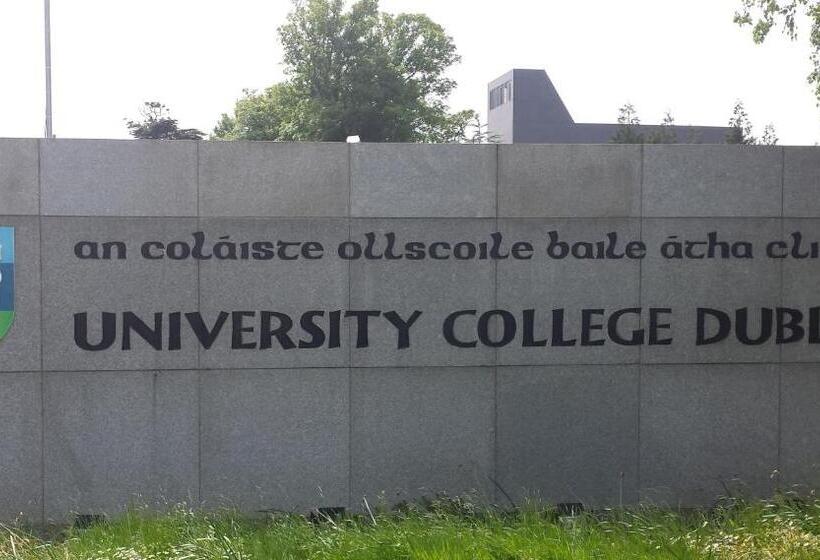 스탠다드 싱글 룸, Morehampton Townhouse