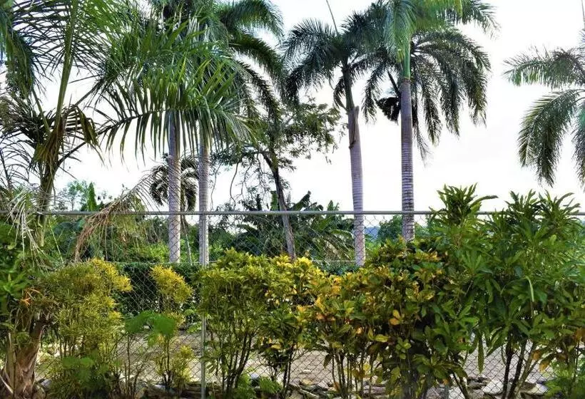 اتاق استاندارد با چشم‌انداز باغ, Tropical Casa Laguna