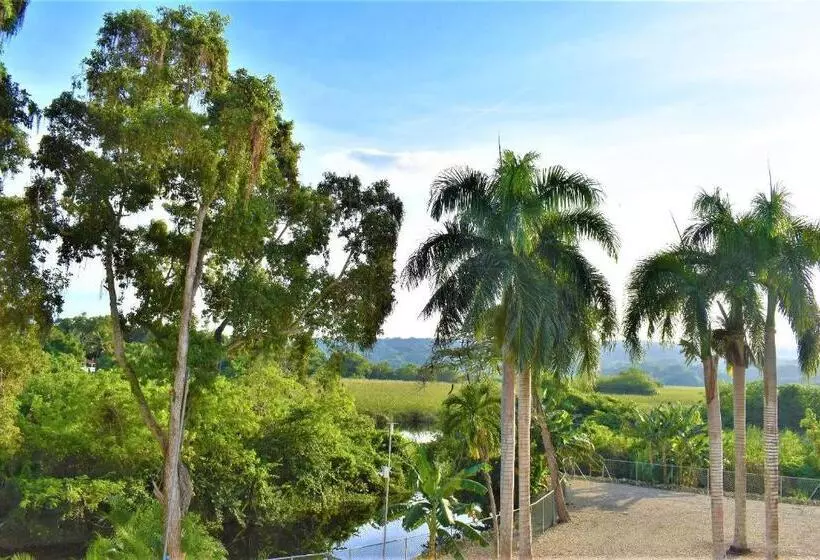 اتاق استاندارد یک نفره, Tropical Casa Laguna