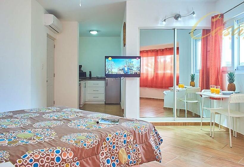 إستوديو كومفورت, Tropical Casa Laguna