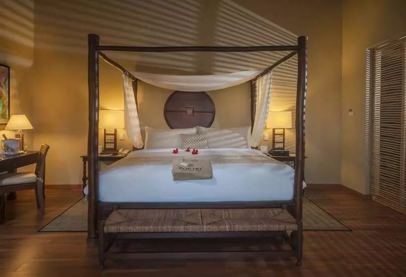 سوئیت جونیور با تخت بزرگ, Zoetry Agua Punta Cana   All Inclusive