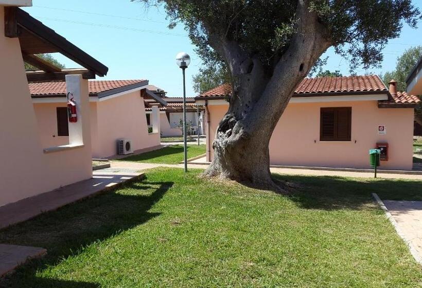 标准工作室, Cilento Dreams Village