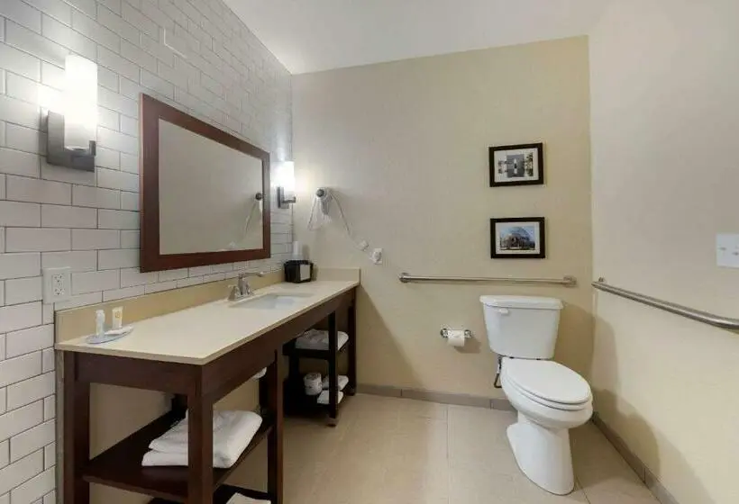身障者適用キングサイズベッドルーム, Comfort Inn & Suites Harrah