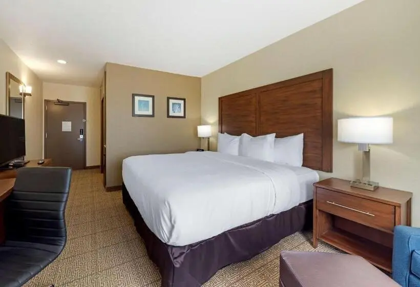 キングサイズベッドのスタンダードルーム, Comfort Inn & Suites Harrah