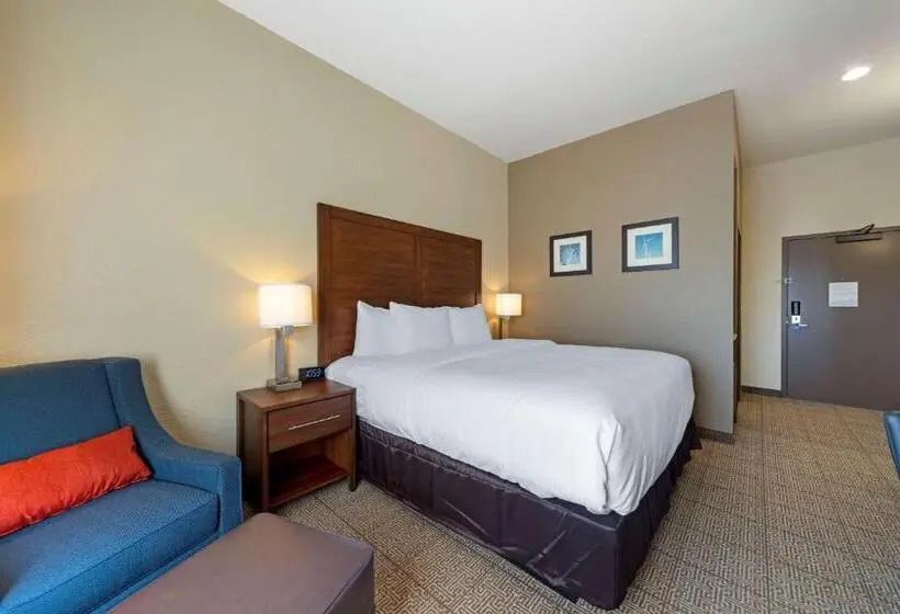 身障者適用キングサイズベッドルーム, Comfort Inn & Suites Harrah