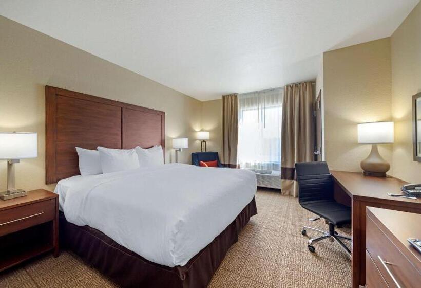 غرفة قياسية سرير كينج لذوى الإحتياجات الخاصة, Comfort Inn & Suites Harrah