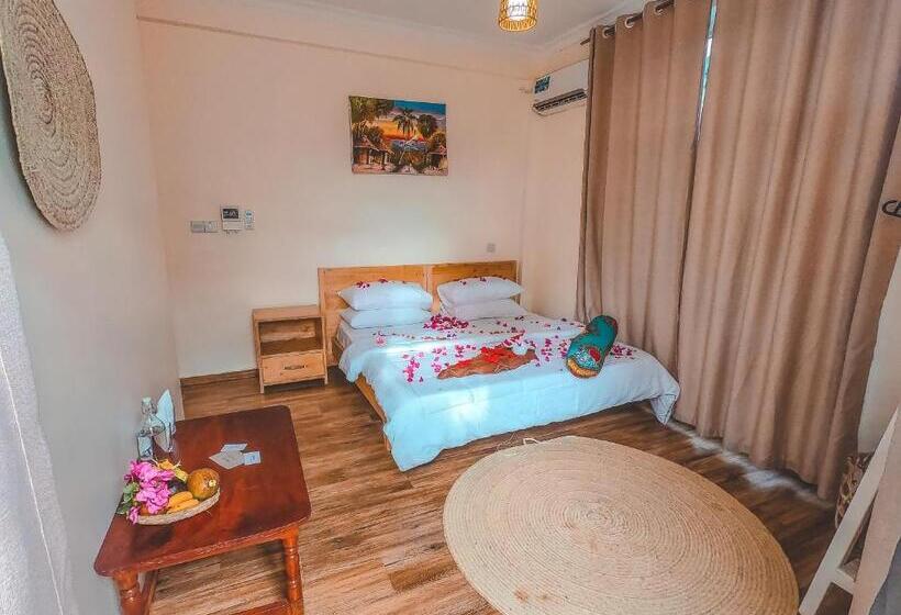 スタンダードルーム, Hi Zanzibar