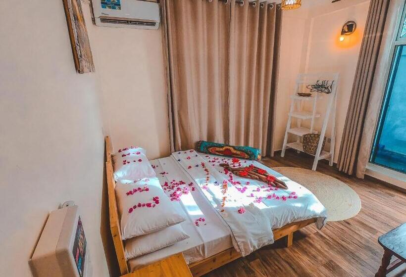 スタンダードルーム, Hi Zanzibar