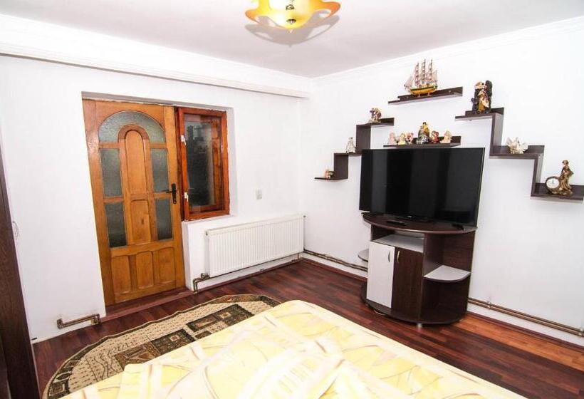 Апартаменты 1 Спальня, Casa Olanesti