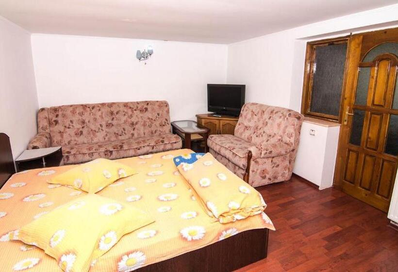 Стандартный Номер Кровать Кинг, Casa Olanesti