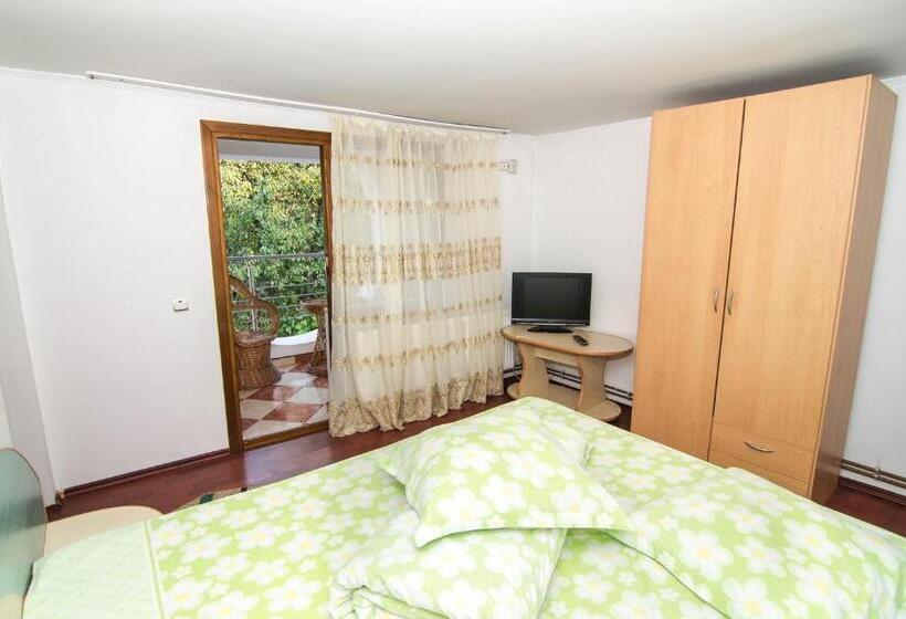 Стандартный Номер Кровать Кинг, Casa Olanesti