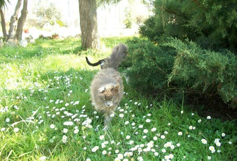 بنگله خانوادگی, Agriturismo Primerio