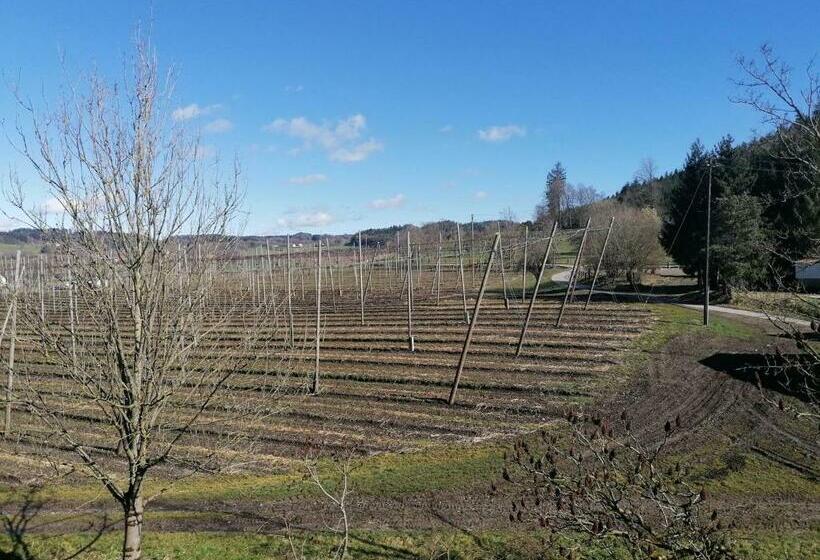 דירת שני חדרים, Ferienhof Hopfgärtle Müller