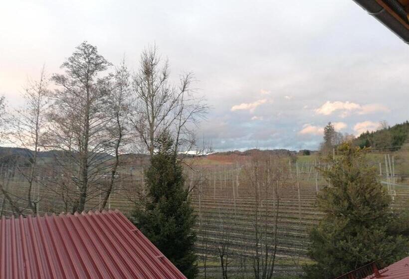 דירת שני חדרים, Ferienhof Hopfgärtle Müller