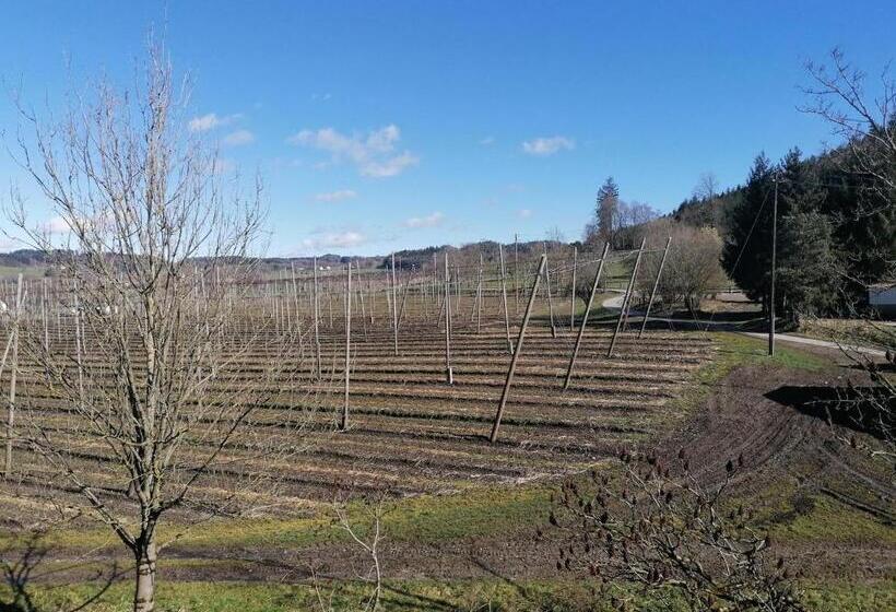 דירת שני חדרים, Ferienhof Hopfgärtle Müller