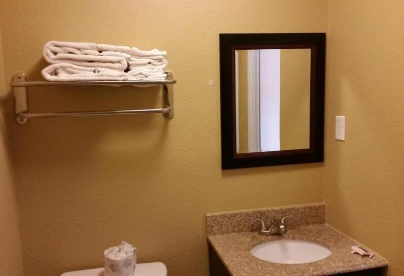 스탠다드 룸, Travel Inn Snyder