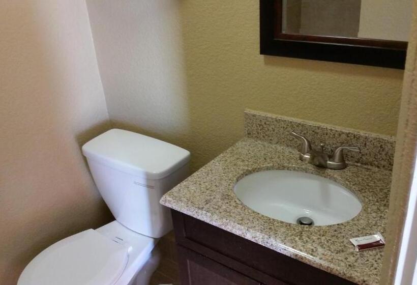 스탠다드 룸 킹사이즈 침대, Travel Inn Snyder