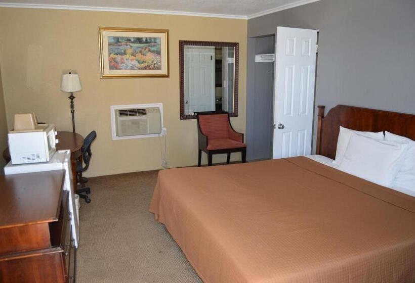 스탠다드 룸 킹사이즈 침대, Travel Inn Snyder