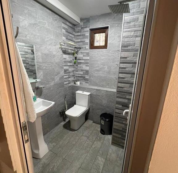 اتاق سوپریور خانوادگی, Apartments Lezzet