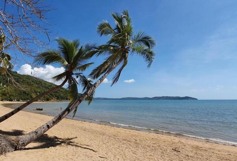 بانگلوی استاندارد با چشمانداز دریا, Coconut Lodge