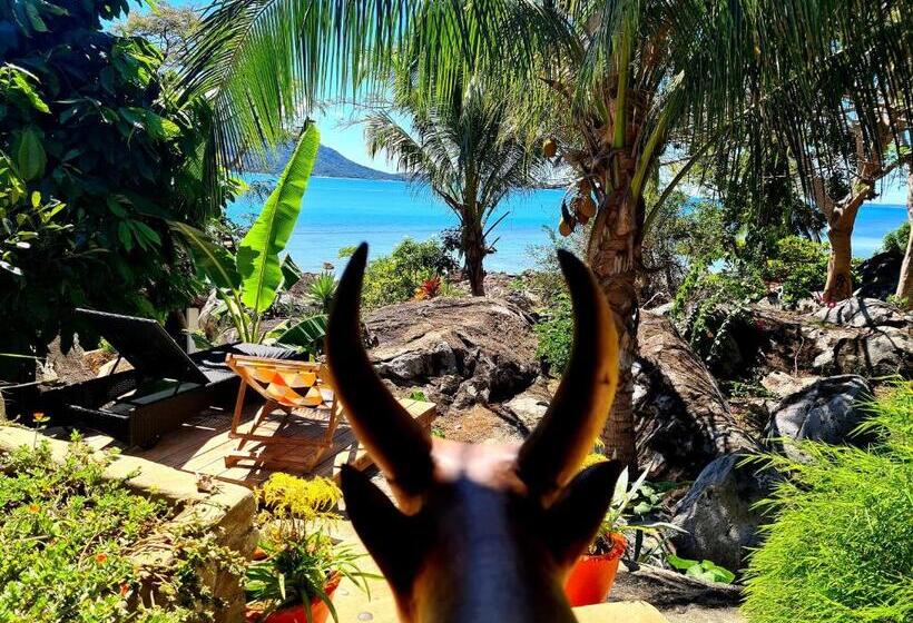 بانگلوی استاندارد با چشمانداز دریا, Coconut Lodge