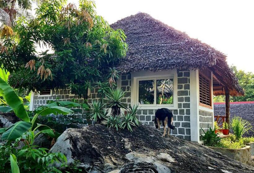 بانگلوی استاندارد با چشمانداز دریا, Coconut Lodge