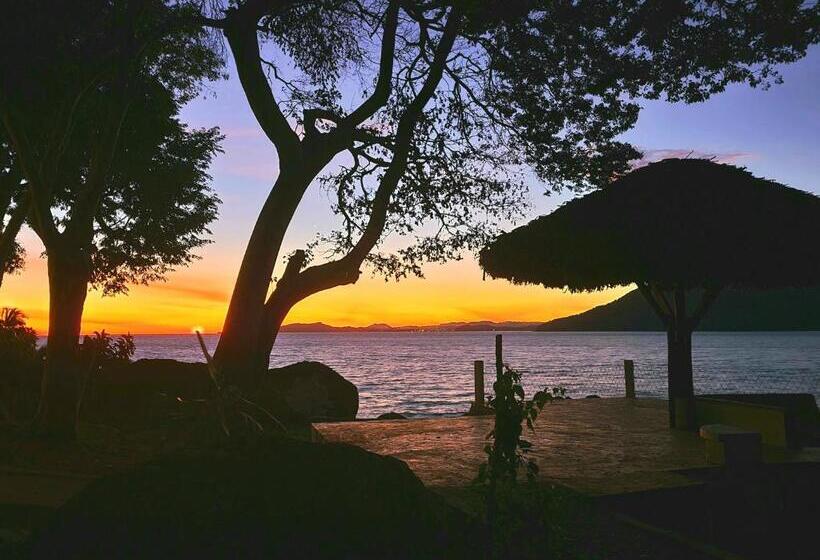 بانگلوی لوکس, Coconut Lodge