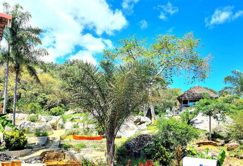 بانگلوی لوکس, Coconut Lodge