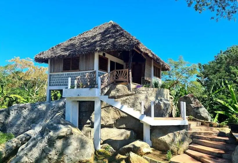 بانگلوی لوکس, Coconut Lodge