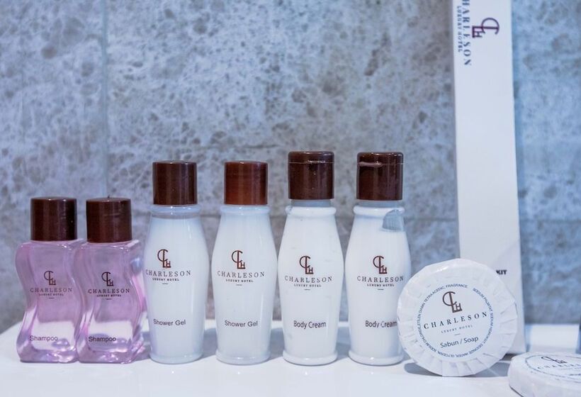 غرفة ديلوكس, Charleson Luxury
