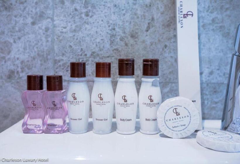 اتاق لوکس با تخت بزرگ, Charleson Luxury