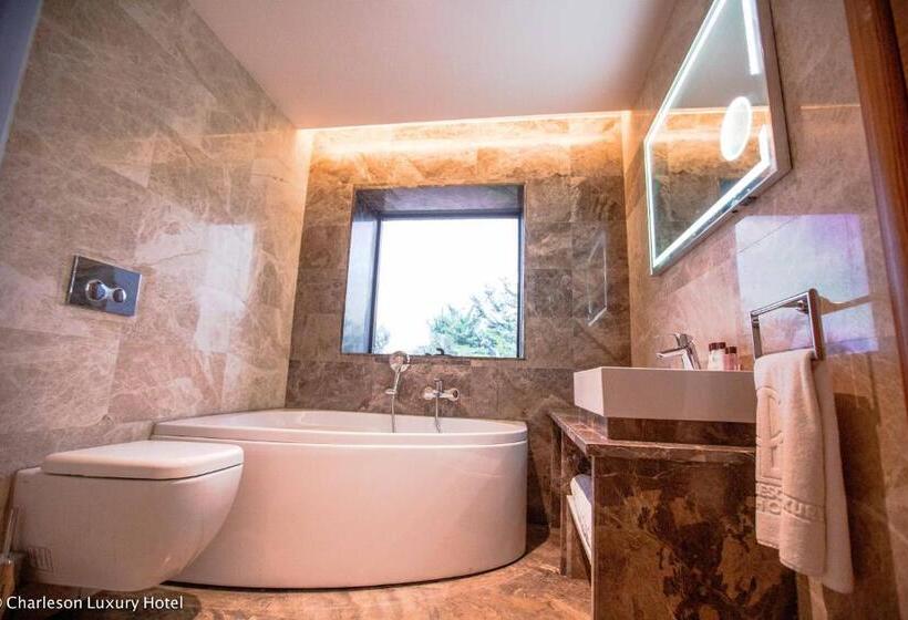 غرفة قياسية, Charleson Luxury