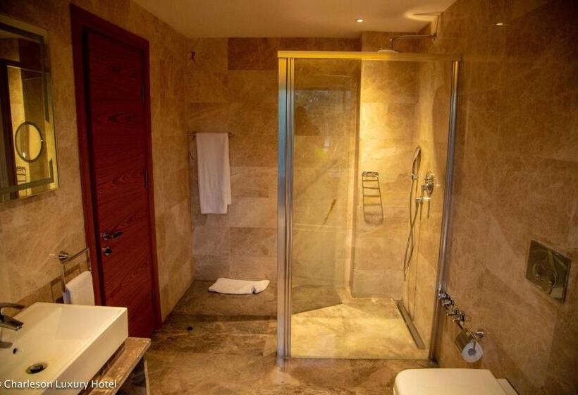 غرفة قياسية, Charleson Luxury