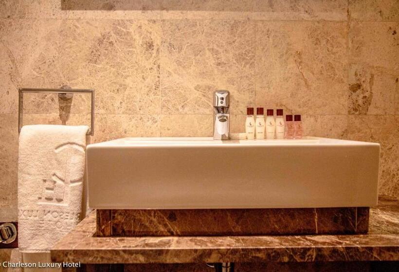 جناح مطل على المدينة, Charleson Luxury