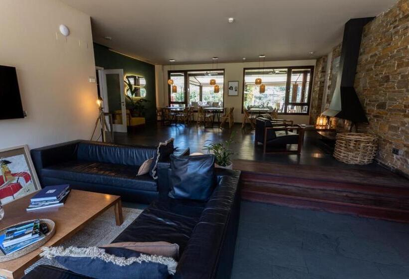 غرفة أساسية, No Mad Green