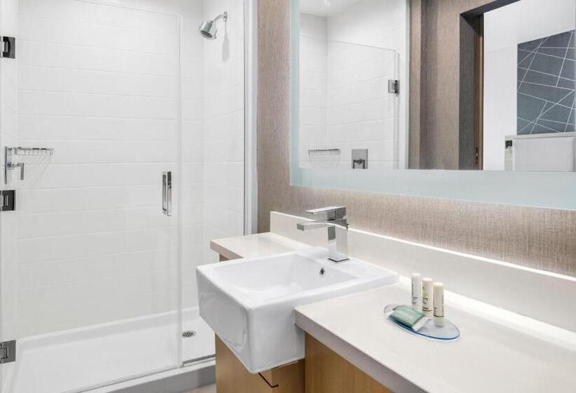 جناح سرير ملكى, Springhill Suites By Marriott Riverside Redlands