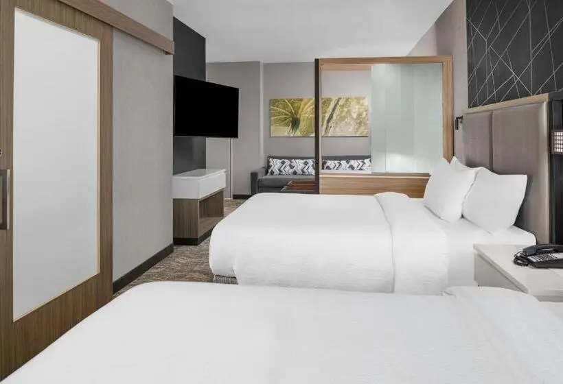 クイーンサイズベッドのスイートルーム, Springhill Suites By Marriott Riverside Redlands
