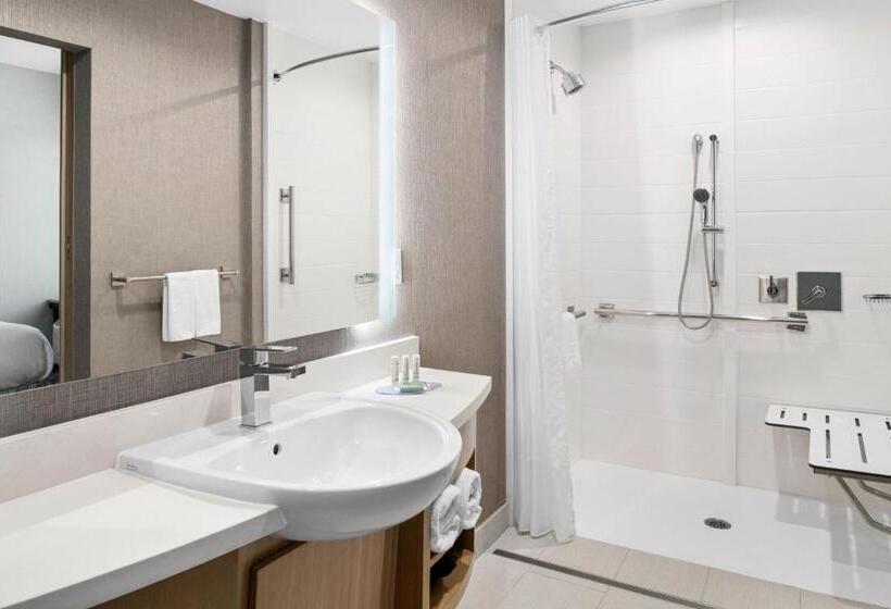 Люкс Адаптированный для Инвалидов, Springhill Suites By Marriott Riverside Redlands