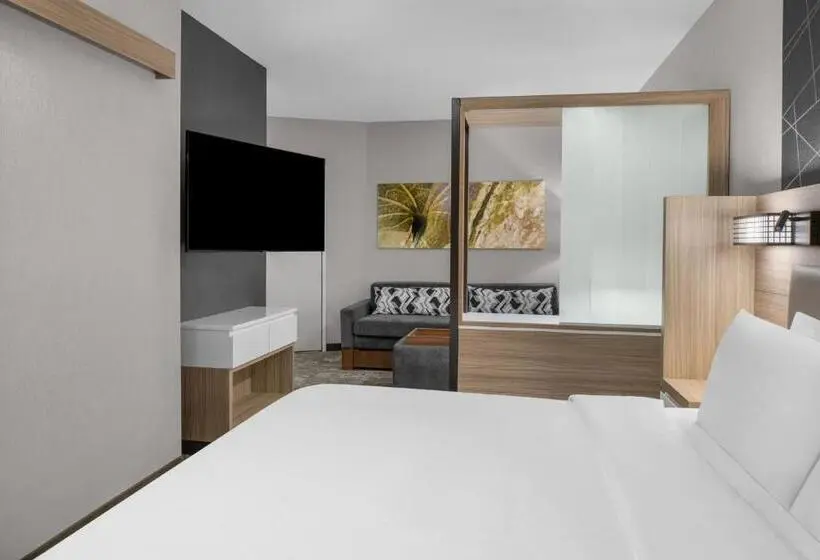 身障者適用スイートルーム, Springhill Suites By Marriott Riverside Redlands